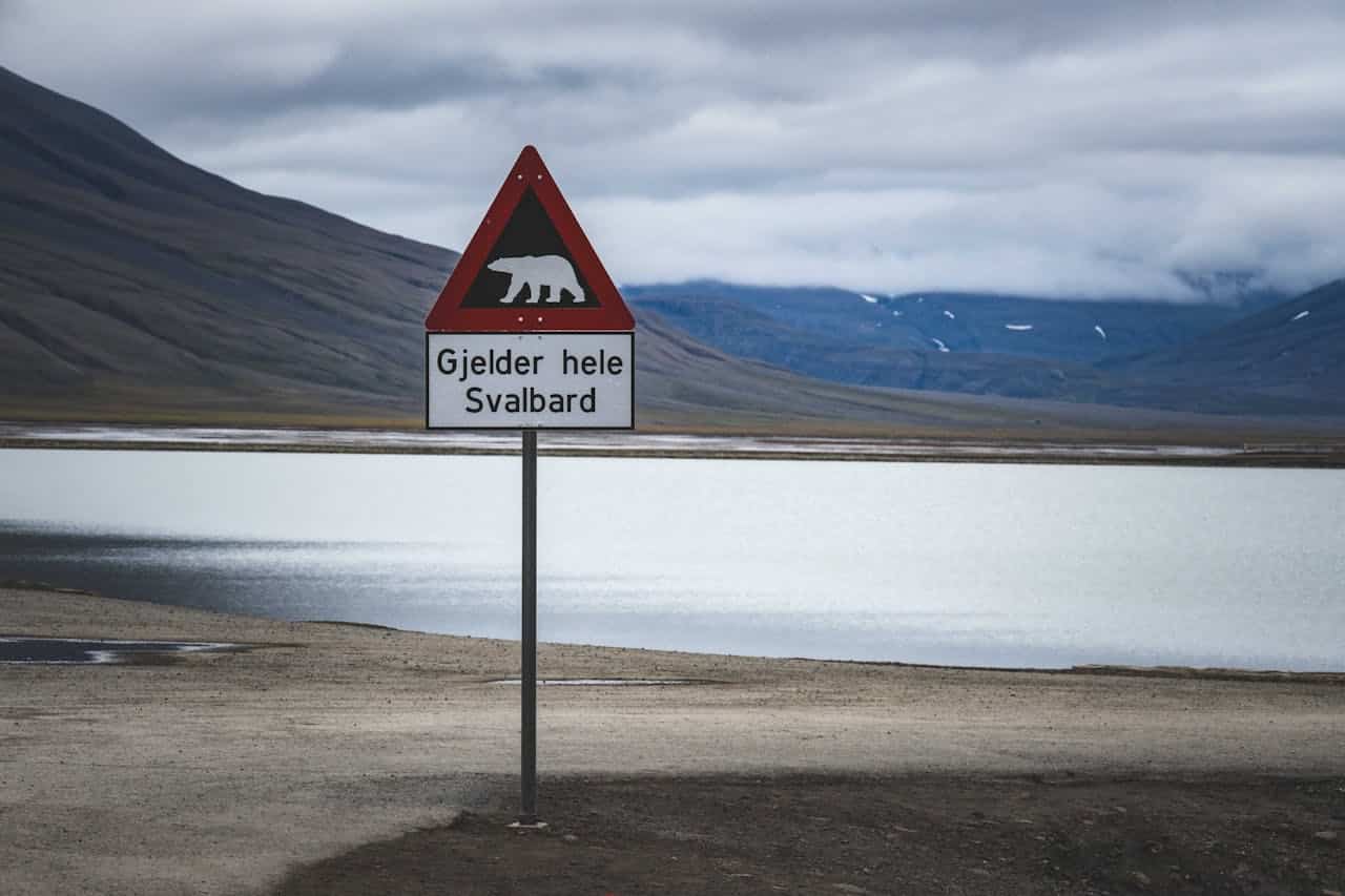 Skilt advarsel isbjørn på Svalbard