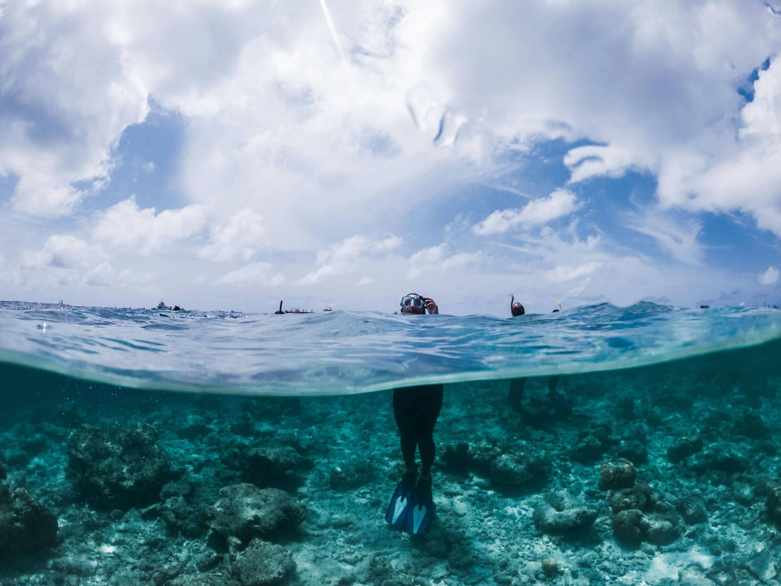 Snorkling med skilpadder i Tobago Cays, Luksusferie i Karibien