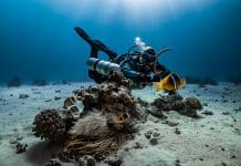 Dykking i fantastiske omgivelser — Luksusferie under havoverflaten fantastiske opplevelser med dykking i verden