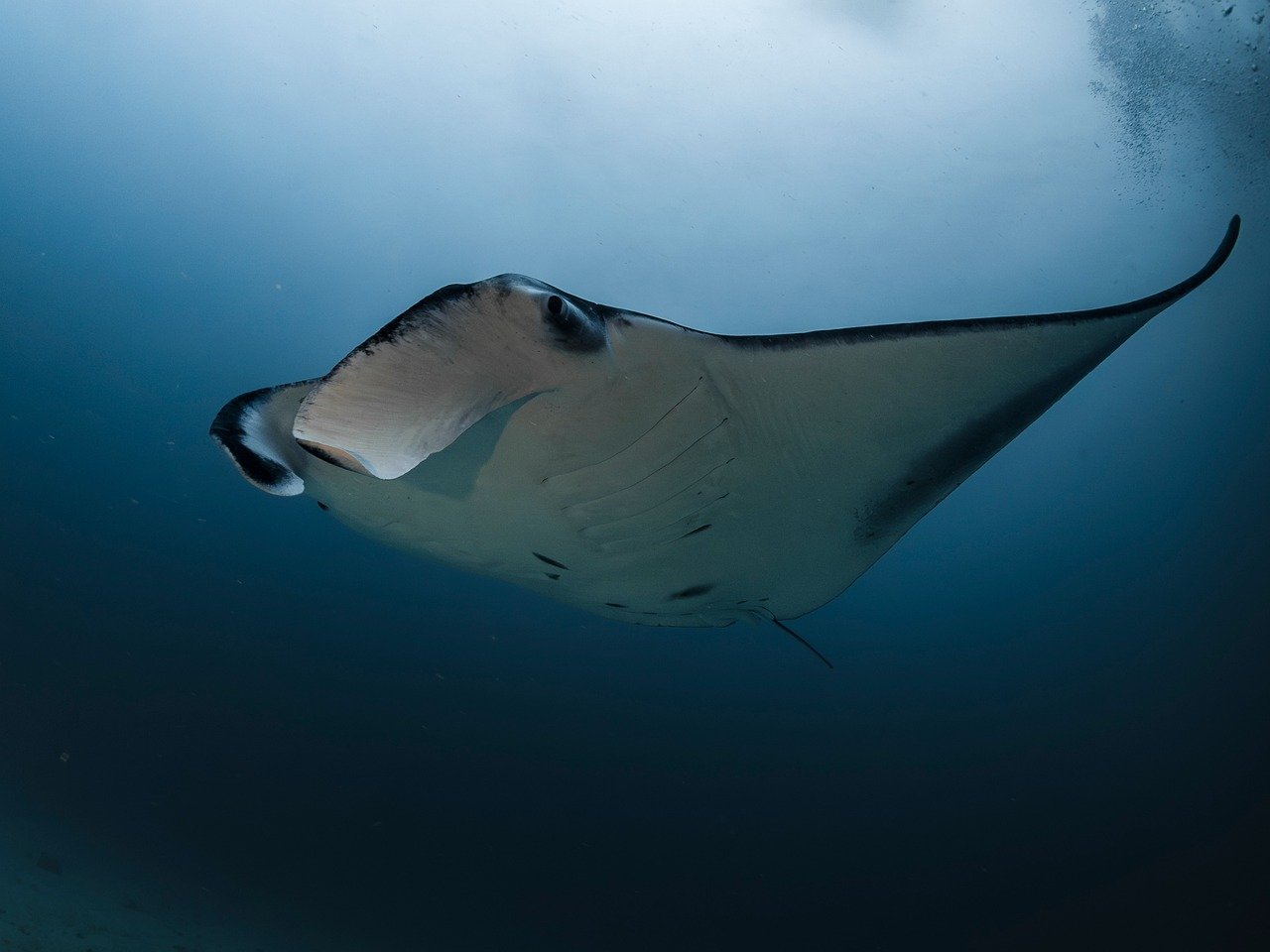 Dette koster det å reise til Maldivene