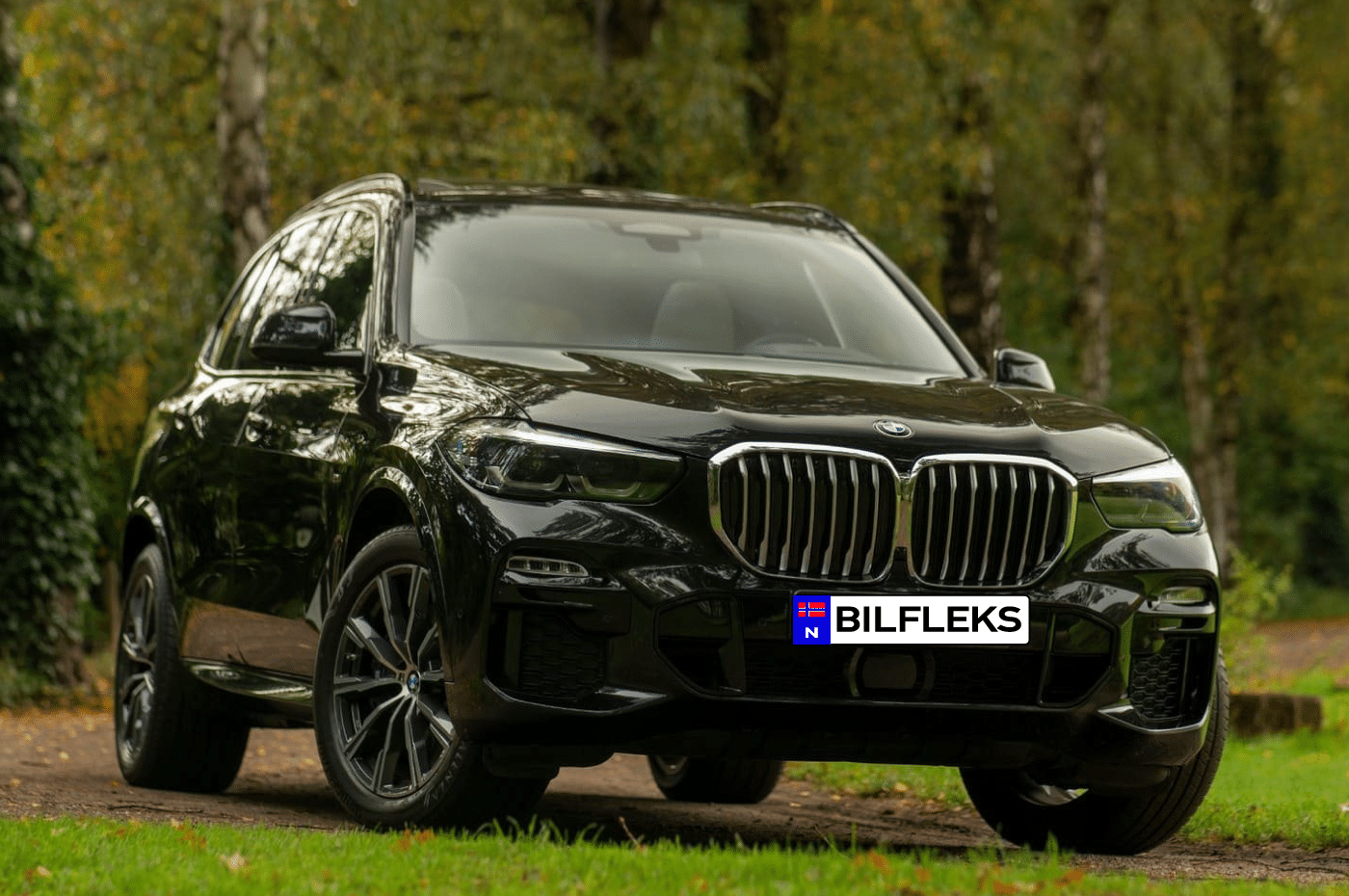 BMW-X5-xDrive45e - BilFleks