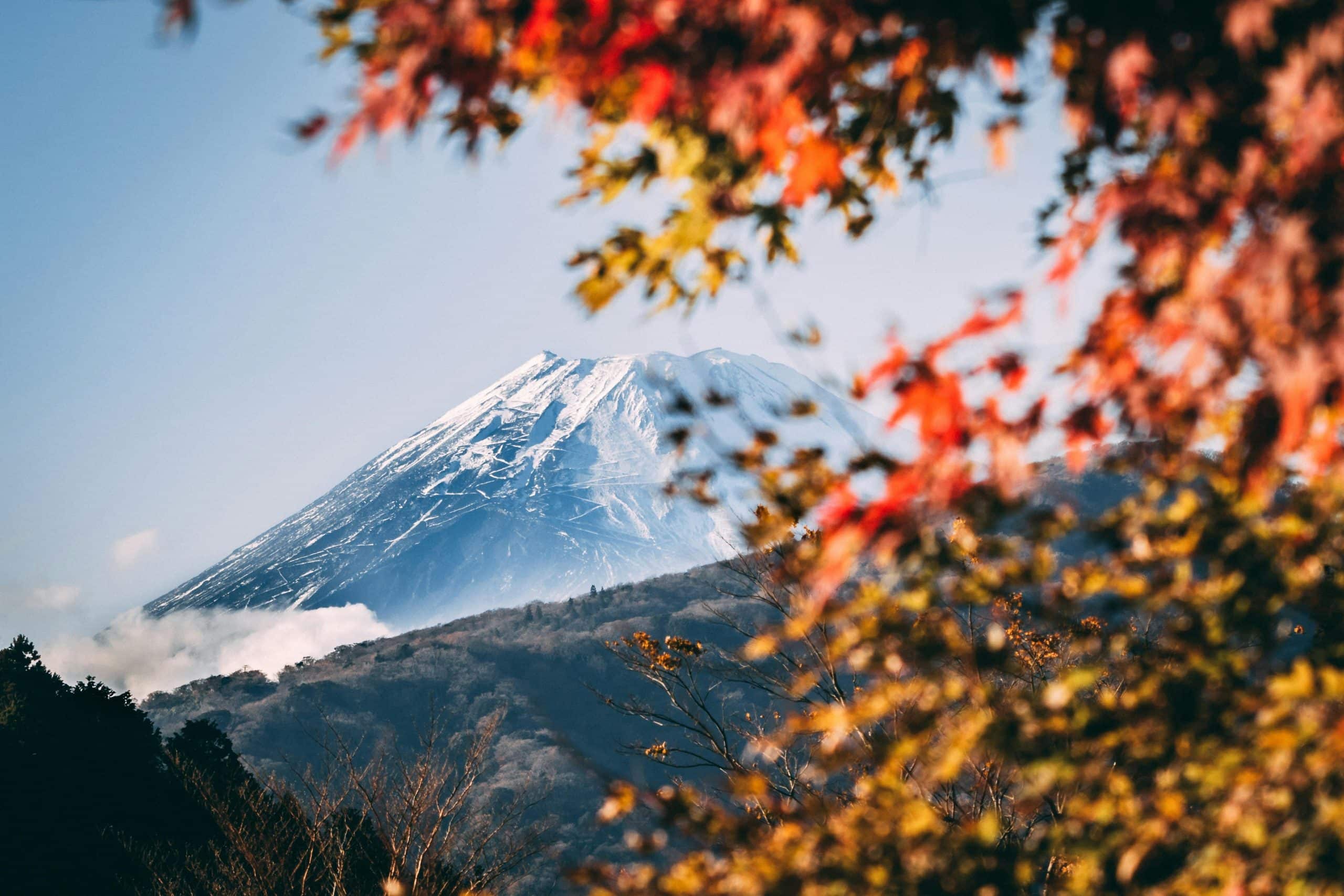 Japansk ryokan omgitt av skog og fjell i rolig landskap, et sted for varme kilder og stillhet.