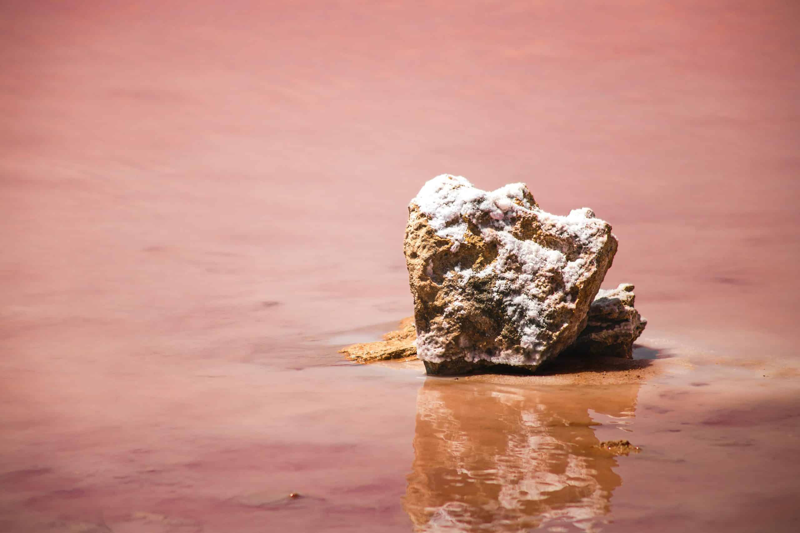 Saltkrystaller fra Laguna Rosa i Torrevieja – et av Costa Blancas mest unike naturfenomener, hvor mineralrikt vann gir innsjøen sin karakteristiske rosa farge.